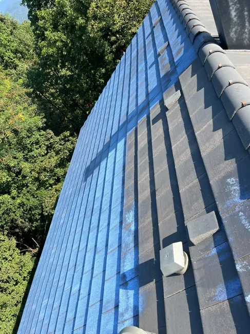 Détail de toiture entretenue